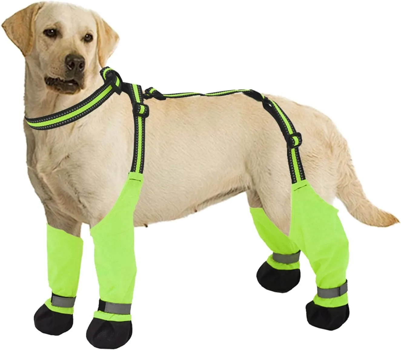 Waterproof Dog Boots, Anti-Slip Adjustable Dog Pet Paw Protectors, Reflective Dog Boots with Suspenders, Dirty-Proof Dog Shoes for Small Medium Large Dogs Outdoor Walking Running Hiking Green XL