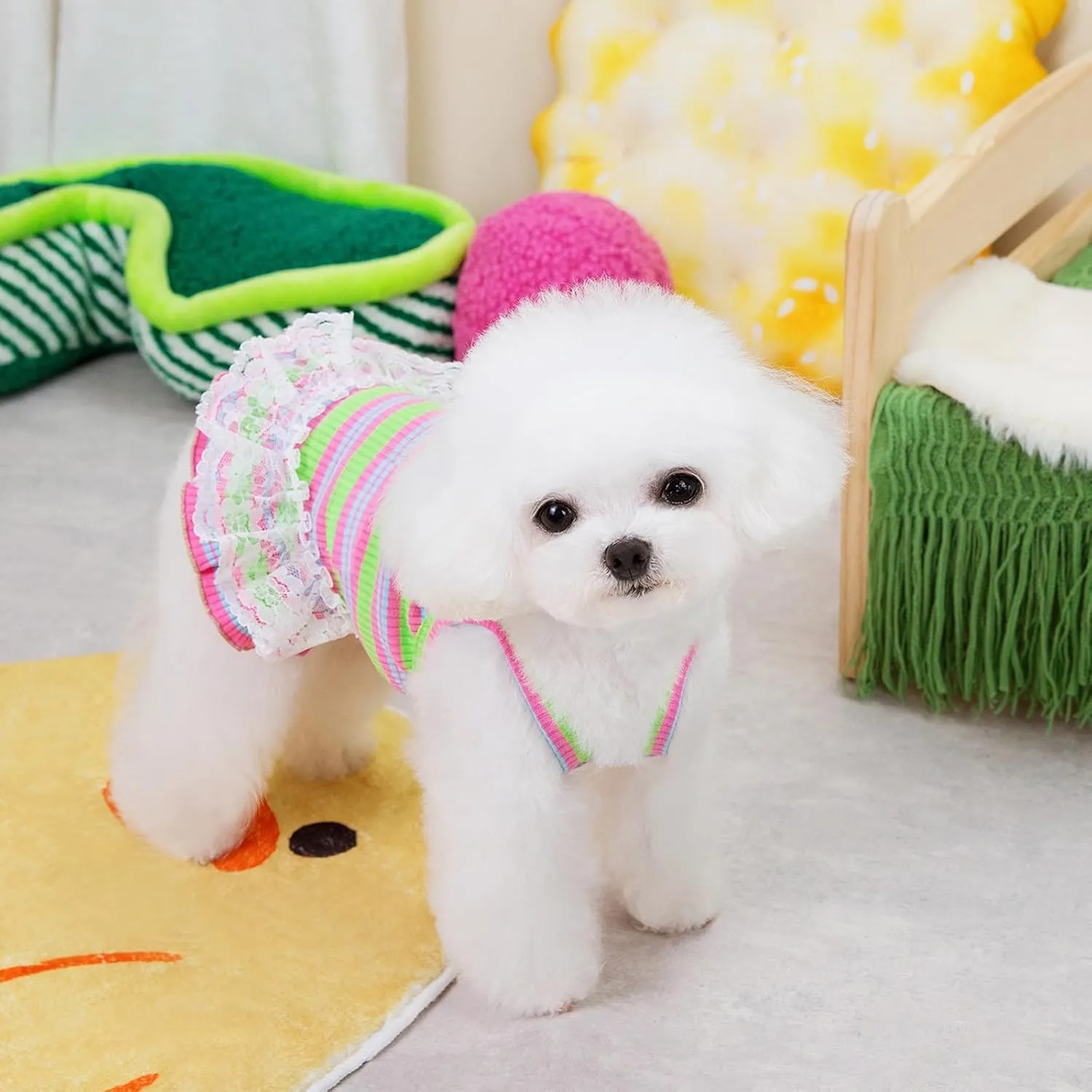 Winmany Dog Summer Clothes Puppy Sleeveless Striped Vest T-Shirt Pet Tutu Skirt Cat Dresses Suitable for Small Medium Cat Dog (Green, Small)