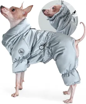 Winter Dog Jacket, Waterproof Full Body Coat, Snowsuit - Perfect for Cold Weather, Ideal for Small Medium Dogs (Silver, X-Large)