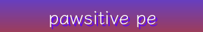 Exclusive Offers & Pet Comfort – Boots, Feeders, Blankets, Safety Vests & More